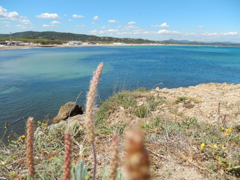 Sentier des pins