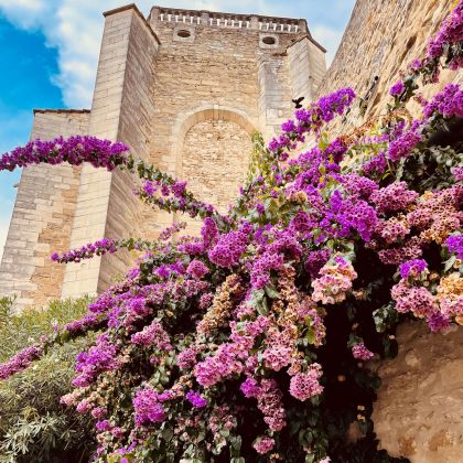 Vesc, village classé parmi les «plus beaux villages de France»