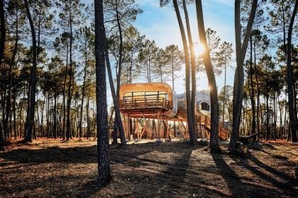 Maison dans les arbres